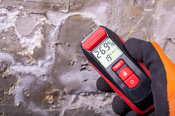 Best Mold Remediation  in Dunkirk, IN